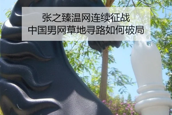 张之臻温网连续征战 中国男网草地寻路如何破局